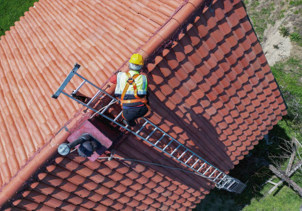 Best Roof Maintenance and Cleaning  in Taylors, SC